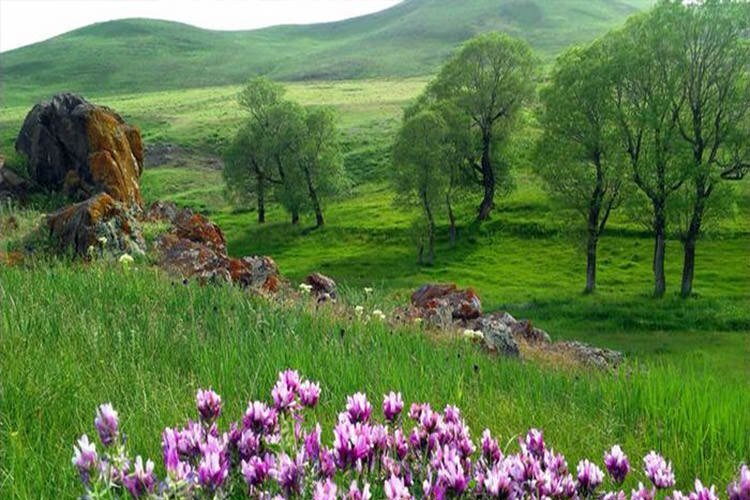 شهر چشمه های جوشان در دل کوه های یخزده