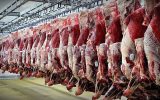 جلسه بررسی وضعیت کشتارگاه های شهرستان سراب برگزار شد
