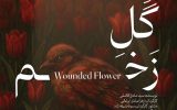 نشست خبری نمایش “گل زخم” در سراب برگزار شد